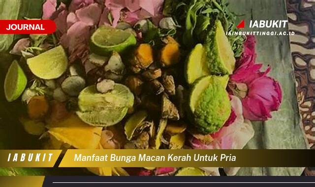 Inilah 10 Manfaat Bunga Macan Kerah untuk Pria, Meningkatkan Stamina dan Vitalitas