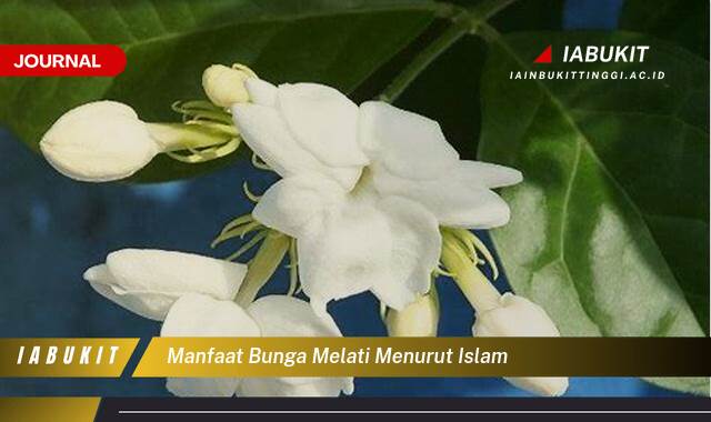 Inilah 9 Manfaat Bunga Melati Menurut Islam, Keberkahan, Kesehatan, dan Kecantikan