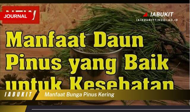Inilah 8 Manfaat Bunga Pinus Kering untuk Kesehatan dan Kehidupan Sehari,hari
