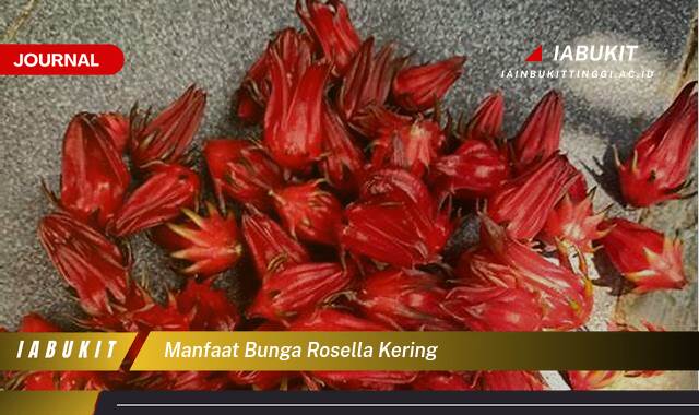 Inilah 10 Manfaat Bunga Rosella Kering untuk Kesehatan Tubuh Anda Inilah 10 Manfaat Bunga Rosella Kering untuk Kesehatan Tubuh Anda