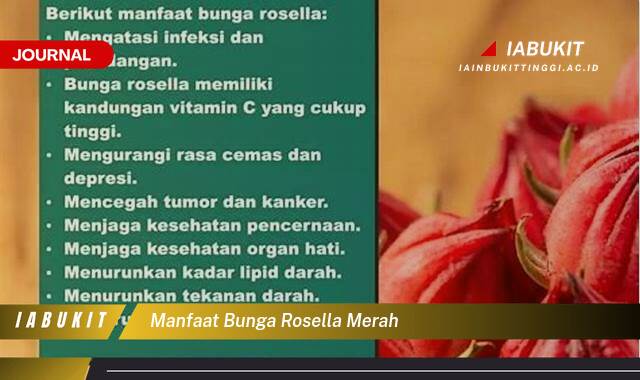 Inilah 10 Manfaat Bunga Rosella Merah untuk Kesehatan Tubuh Anda