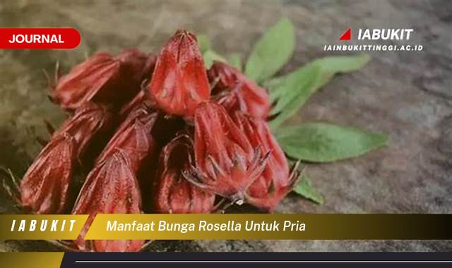 Inilah 9 Manfaat Bunga Rosella untuk Kesehatan Pria Secara Menyeluruh