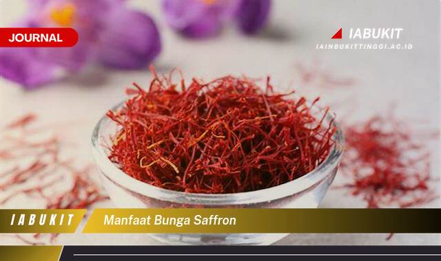 Inilah 10 Manfaat Bunga Saffron untuk Kesehatan Tubuh Anda Inilah 10 Manfaat Bunga Saffron untuk Kesehatan Tubuh Anda