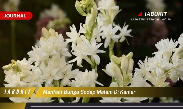 Inilah 8 Manfaat Bunga Sedap Malam di Kamar Tidur untuk Kesehatan dan Kualitas Tidur Anda