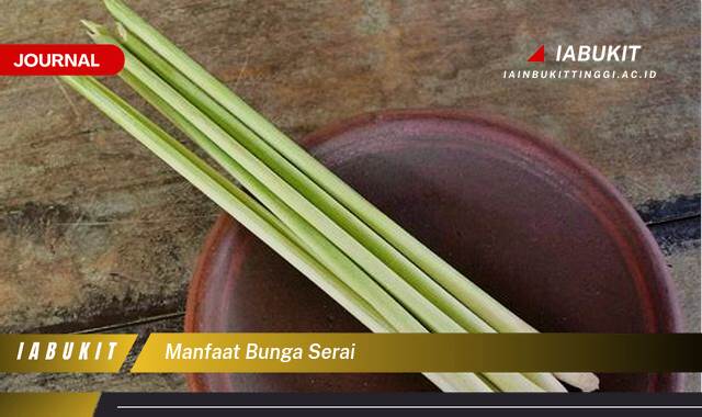 Inilah 9 Manfaat Bunga Serai untuk Kesehatan, Kecantikan, dan Rumah Tangga Anda Inilah 9 Manfaat Bunga Serai untuk Kesehatan, Kecantikan, dan Rumah Tangga Anda
