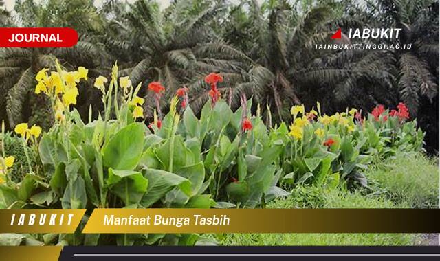 Inilah 10 Manfaat Bunga Tasbih, Khasiat Lengkap untuk Kesehatan dan Kecantikan Alami