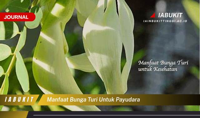 Inilah 10 Manfaat Bunga Turi untuk Payudara, Fakta, Penelitian, dan Cara Penggunaan yang Aman