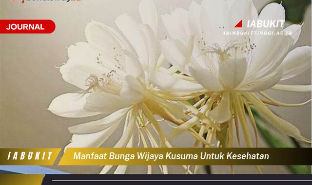 Inilah 8 Manfaat Bunga Wijaya Kusuma untuk Kesehatan, Khasiat Tersembunyi dan Cara Menggunakannya