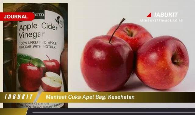 Inilah 9 Manfaat Cuka Apel Bagi Kesehatan, Panduan Lengkap untuk Penggunaan dan Khasiatnya Inilah 9 Manfaat Cuka Apel Bagi Kesehatan, Panduan Lengkap untuk Penggunaan dan Khasiatnya
