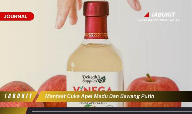Inilah 10 Manfaat Cuka Apel Madu dan Bawang Putih untuk Kesehatan, Resep Alami dan Cara Konsumsi