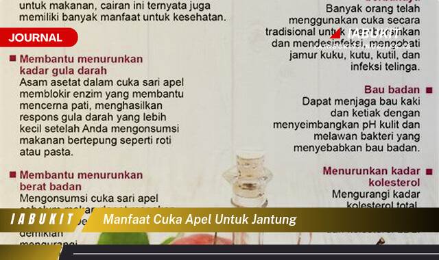 Inilah 9 Manfaat Cuka Apel untuk Jantung, Turunkan Kolesterol dan Risiko Penyakit Lainnya Inilah 9 Manfaat Cuka Apel untuk Jantung, Turunkan Kolesterol dan Risiko Penyakit Lainnya
