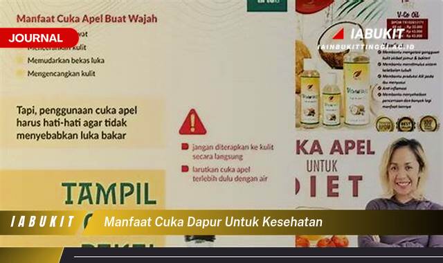 Inilah 8 Manfaat Cuka Dapur untuk Kesehatan, Mengatasi Masalah Pencernaan Hingga Meningkatkan Imunitas Tubuh