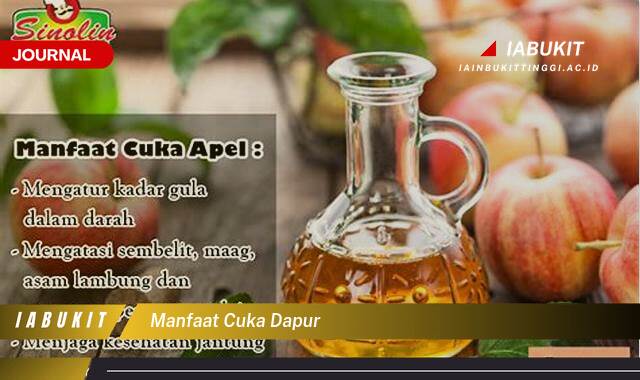 Inilah 8 Manfaat Cuka Dapur, Kegunaan Lengkap untuk Rumah Tangga dan Kesehatan