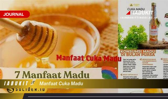 Inilah 10 Manfaat Cuka Madu, Rahasia Kesehatan Alami yang Jarang Diketahui