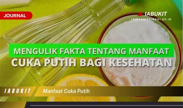 Inilah 10 Manfaat Cuka Putih, Lebih dari Sekadar Bumbu Masak!