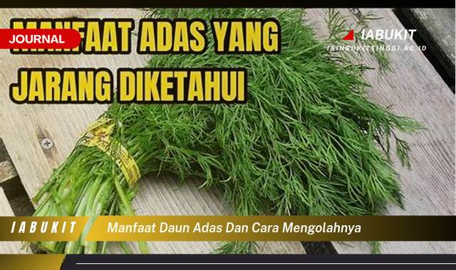 Inilah 9 Manfaat Daun Adas untuk Kesehatan dan Cara Mengolahnya Menjadi Hidangan Lezat