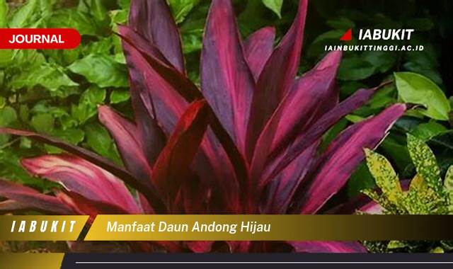 Inilah 8 Manfaat Daun Andong Hijau, Khasiat Lengkap untuk Kesehatan dan Kecantikan