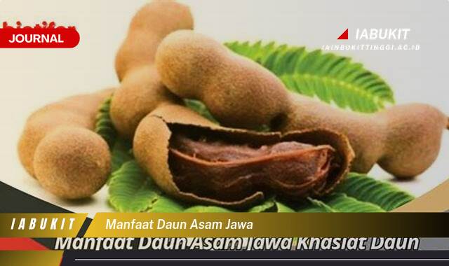 Inilah 8 Manfaat Daun Asam Jawa untuk Kesehatan Tubuh Anda