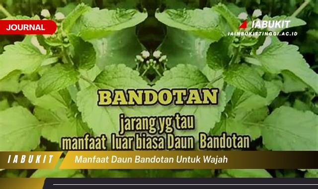 Inilah 10 Manfaat Daun Bandotan untuk Wajah, Rahasia Kulit Sehat dan Glowing Alami