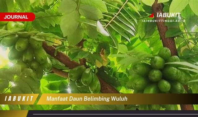 Inilah 9 Manfaat Daun Belimbing Wuluh untuk Kesehatan Anda, Dari Solusi Batuk Hingga Perawatan Kulit Inilah 9 Manfaat Daun Belimbing Wuluh untuk Kesehatan Anda, Dari Solusi Batuk Hingga Perawatan Kulit