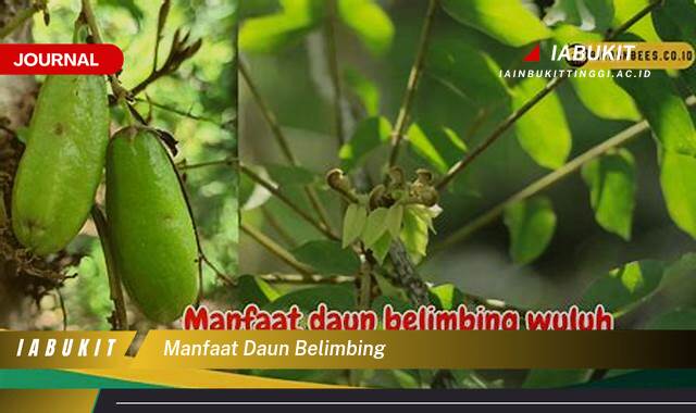 Inilah 10 Manfaat Daun Belimbing untuk Kesehatan Anda yang Menakjubkan Inilah 10 Manfaat Daun Belimbing untuk Kesehatan Anda yang Menakjubkan