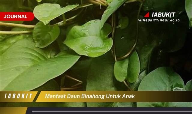 Inilah 8 Manfaat Daun Binahong untuk Anak, Atasi Luka Hingga Tingkatkan Imunitas