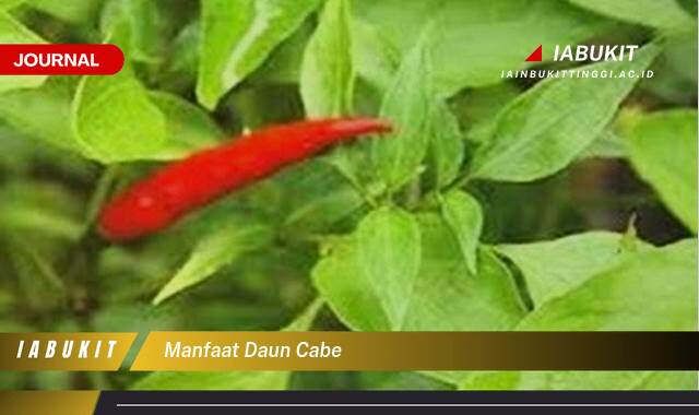 Inilah 10 Manfaat Daun Cabe untuk Kesehatan, Kecantikan, dan Masakan Anda