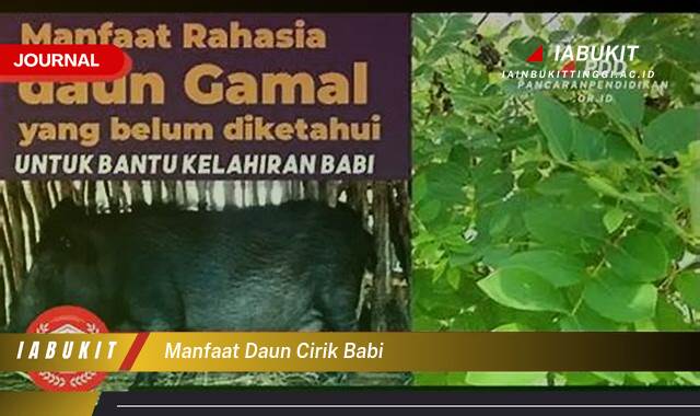 Inilah 8 Manfaat Daun Cirik Babi untuk Pengobatan Tradisional dan Kesehatan Kulit