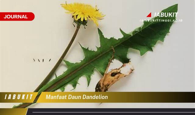 Inilah 9 Manfaat Daun Dandelion, Khasiat Tersembunyi untuk Kesehatan Tubuh Anda