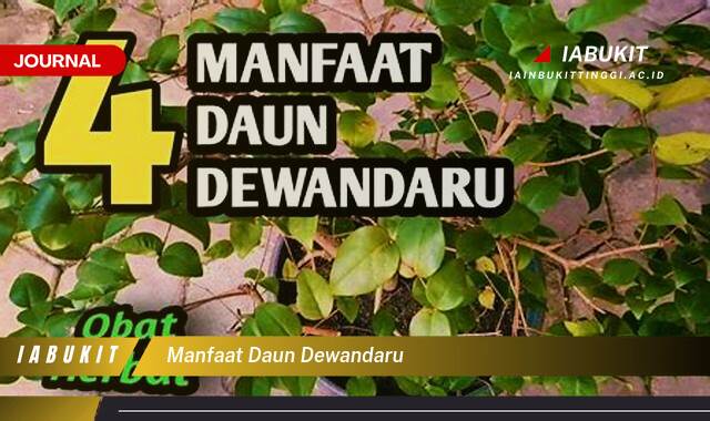 Inilah 9 Manfaat Daun Dewandaru untuk Kesehatan Tubuh Anda