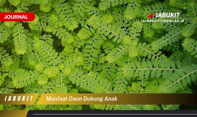 Inilah 10 Manfaat Daun Dukung Anak, Khasiat Tersembunyi untuk Kesehatan Keluarga Anda