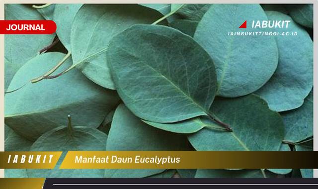 Inilah 9 Manfaat Daun Eucalyptus untuk Kesehatan Pernapasan dan Kecantikan Kulit