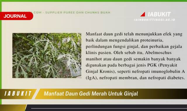 Inilah 10 Manfaat Daun Gedi Merah untuk Ginjal, Menjaga Kesehatan dan Fungsinya