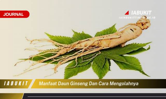 Inilah 10 Manfaat Daun Ginseng untuk Kesehatan dan Cara Mengolahnya Menjadi Obat Alami