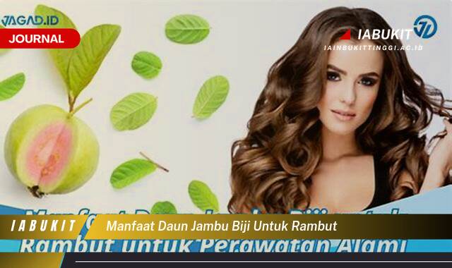 Inilah 10 Manfaat Daun Jambu Biji untuk Mengatasi Rambut Rontok, Ketombe, dan Masalah Rambut Lainnya