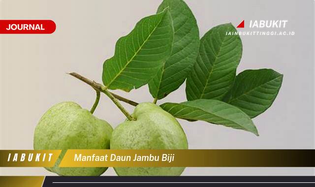 Inilah 8 Manfaat Daun Jambu Biji untuk Kesehatan Anda yang Menakjubkan