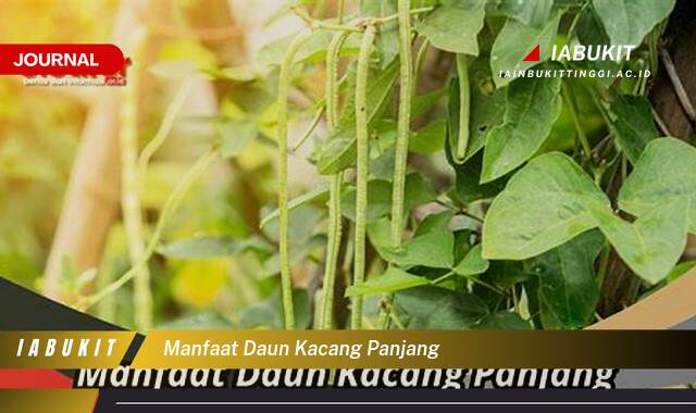 Inilah 10 Manfaat Daun Kacang Panjang untuk Kesehatan Anda yang Menakjubkan