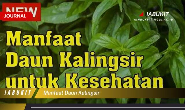 Inilah 9 Manfaat Daun Kalingsir untuk Kesehatan,  Dari Tradisional Hingga Modern