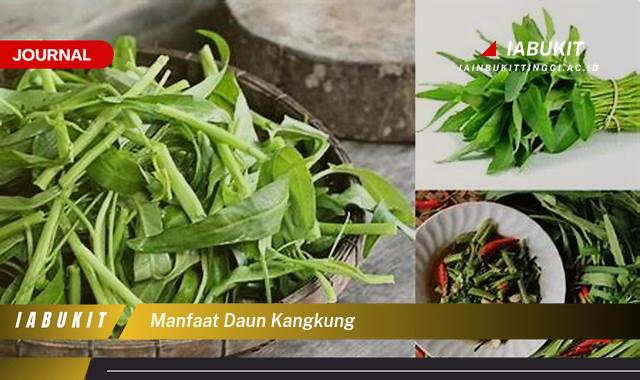 Inilah 10 Manfaat Daun Kangkung untuk Kesehatan Tubuh Anda