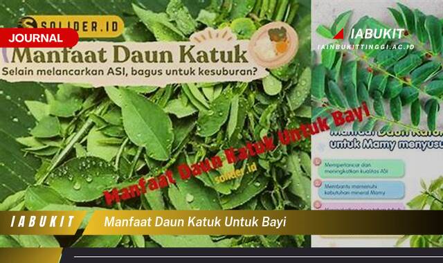 Inilah 10 Manfaat Daun Katuk untuk Bayi, Meningkatkan Kualitas dan Produksi ASI Ibu Menyusui