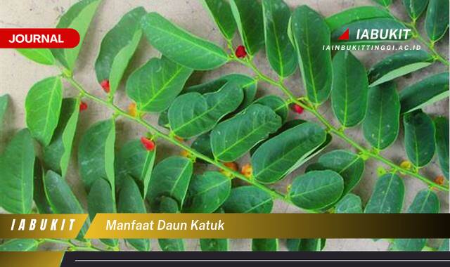 Ketahui 8 Manfaat Daun Katuk untuk Ibu Menyusui, Meningkatkan Produksi ASI dan Kesehatan Bayi