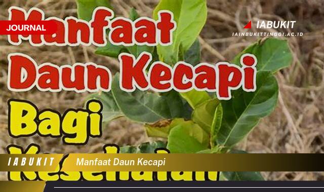 Inilah 9 Manfaat Daun Kecapi untuk Kesehatan Anda yang Menakjubkan