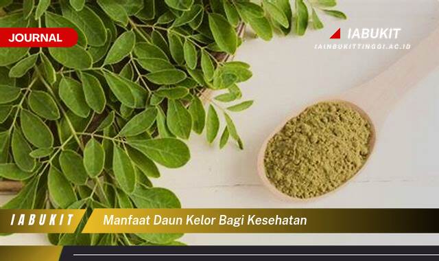 Inilah 8 Manfaat Daun Kelor bagi Kesehatan, Panduan Lengkap untuk Hidup Sehat