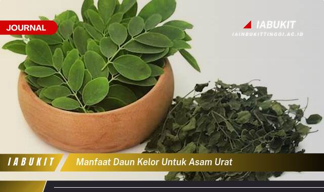 Inilah 10 Manfaat Daun Kelor untuk Asam Urat, Meredakan Nyeri dan Peradangan Secara Alami