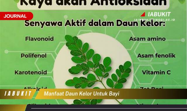 Inilah 9 Manfaat Daun Kelor untuk Bayi, Meningkatkan Imunitas, Pertumbuhan, dan Kesehatan Inilah 9 Manfaat Daun Kelor untuk Bayi, Meningkatkan Imunitas, Pertumbuhan, dan Kesehatan