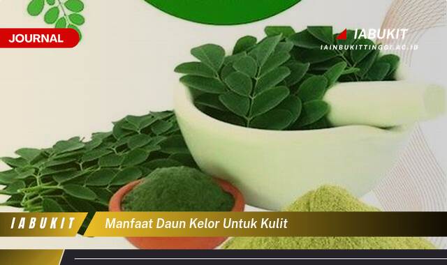 Inilah 9 Manfaat Daun Kelor untuk Kulit, Tips dan Cara Menggunakannya Agar Hasil Maksimal Inilah 9 Manfaat Daun Kelor untuk Kulit, Tips dan Cara Menggunakannya Agar Hasil Maksimal