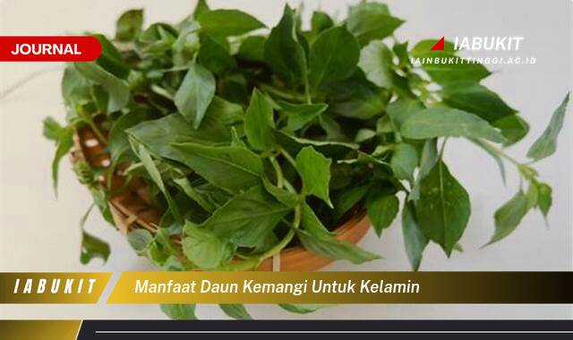Inilah 8 Manfaat Daun Kemangi untuk Kesehatan Organ Intim, Fakta dan Cara Penggunaan yang Aman