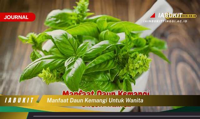 Inilah 8 Manfaat Daun Kemangi untuk Kesehatan Wanita, Tips dan Cara Mengonsumsinya Inilah 8 Manfaat Daun Kemangi untuk Kesehatan Wanita, Tips dan Cara Mengonsumsinya