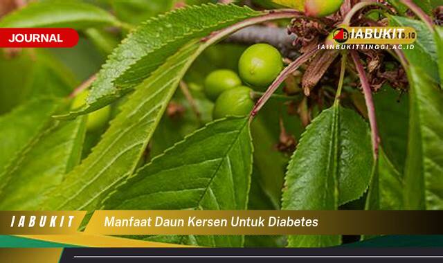 Inilah 9 Manfaat Daun Kersen untuk Mengontrol Diabetes Secara Alami