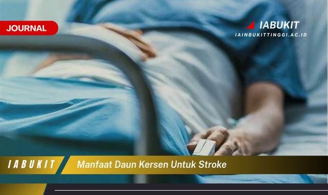 Inilah 10 Manfaat Daun Kersen untuk Stroke, Pencegahan dan Potensi Perawatan Alami